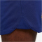 NIKE FC Barcelona Stadium Heim Dri-FIT Fußballshorts 2023/24 Herren