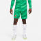 NIKE FC Barcelona Stadium Torwart Dri-FIT Fußballshorts 2023/24 Herren