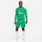 NIKE FC Barcelona Stadium Torwart Dri-FIT Fußballshorts 2023/24 Herren