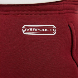 NIKE FC Liverpool Fleece Hose Herren