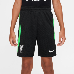 NIKE FC Liverpool Strike Dri-FIT Knit Fußballshorts...