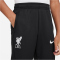 NIKE FC Liverpool Strike Dri-FIT Knit Fußball Trainingshose Kinder 010 - black/white L (147-158 cm)