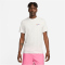 NIKE Sportswear Club+ Swoosh HDY Print T-Shirt Herren 030 - phantom L