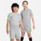 NIKE Dri-FIT Academy23 kurzarm Fußball Trainingsshirt Kinder 007 - flt silver/volt/black S (128-137 cm)