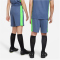 NIKE Dri-FIT Academy23 Fu&szlig;ballshorts Kinder 491 - diffused blue/green strike/white M (137-147 cm)