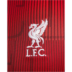 NIKE FC Liverpool Academy Pro Dri-FIT Aufwärmshirt Herren 688 - gym red/gym red/white XS