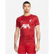 NIKE FC Liverpool Academy Pro Dri-FIT Aufwärmshirt Herren 688 - gym red/gym red/white XS