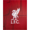 NIKE FC Liverpool Academy Pro Dri-FIT Aufwärmshirt Herren 688 - gym red/gym red/white XS