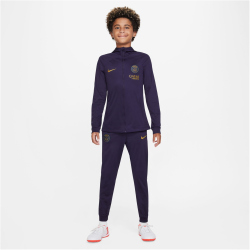 NIKE Paris Saint-Germain Strike Dri-FIT...