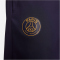 NIKE Paris Saint-Germain Strike Dri-FIT Woven Trainingsanzug Herren 499 - blackened blue/blackened blue/gold suede S