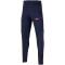 NIKE Paris Saint-Germain Dri-FIT Strike Trainingshose Kinder 498 - blackened blue/blackened blue/gold suede S (128-137 cm)