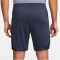 NIKE Tottenham Hotspur Strike Dri-FIT Knit Fu&szlig;ballshorts Herren 459 - marine/pure violet S
