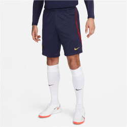 NIKE Paris Saint-Germain Strike Dri-FIT Knit...