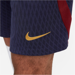 NIKE Paris Saint-Germain Strike Dri-FIT Knit Fu&szlig;ballshorts Herren 498 - blackened blue/team red/gold suede S