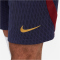 NIKE Paris Saint-Germain Strike Dri-FIT Knit Fu&szlig;ballshorts Herren 498 - blackened blue/team red/gold suede S