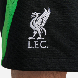 NIKE FC Liverpool Strike Dri-FIT Knit Fu&szlig;ballshorts Herren 012 - black/poison green/white S