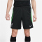 NIKE FC Liverpool Strike Dri-FIT Knit Fu&szlig;ballshorts Herren 012 - black/poison green/white S