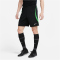 NIKE FC Liverpool Strike Dri-FIT Knit Fu&szlig;ballshorts Herren 012 - black/poison green/white S