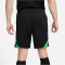 NIKE FC Liverpool Strike Dri-FIT Knit Fu&szlig;ballshorts Herren 012 - black/poison green/white S