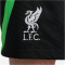 NIKE FC Liverpool Strike Dri-FIT Knit Fu&szlig;ballshorts Herren 012 - black/poison green/white S