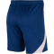 NIKE Atl&eacute;tico Madrid Strike Dri-FIT Knit Fu&szlig;ballshorts Herren 492 - blue void/regal pink/regal pink S