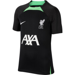 NIKE FC Liverpool Strike Dri-FIT Knit Fußballshirt...