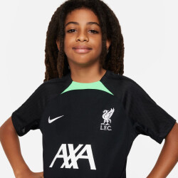 NIKE FC Liverpool Strike Dri-FIT Knit Fußballshirt Kinder 014 - black/poison green/white XS (122-128 cm)