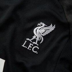 NIKE FC Liverpool Strike Dri-FIT Knit Fußballshirt Kinder 014 - black/poison green/white XS (122-128 cm)