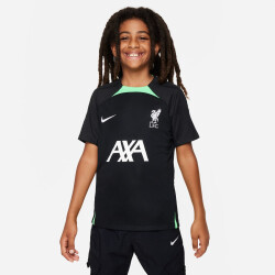 NIKE FC Liverpool Strike Dri-FIT Knit Fußballshirt...