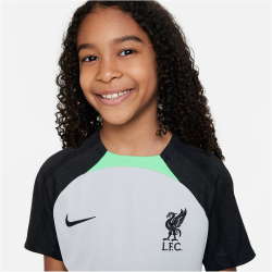NIKE FC Liverpool Strike Dri-FIT Knit Fußballshirt...