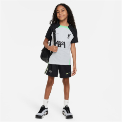 NIKE FC Liverpool Strike Dri-FIT Knit Fußballshirt Kinder 013 - wolf grey/poison green/black XS (122-128 cm)