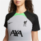 NIKE FC Liverpool Strike Dri-FIT Knit Fu&szlig;ballshirt Damen 013 - wolf grey/poison green/black XS