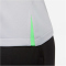 NIKE FC Liverpool Strike Dri-FIT Knit Fu&szlig;ballshirt Damen 013 - wolf grey/poison green/black XS