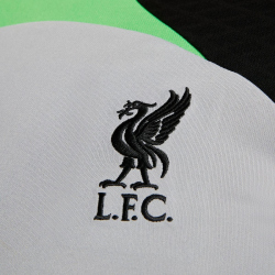 NIKE FC Liverpool Strike Dri-FIT Knit Fu&szlig;ballshirt Herren 013 - wolf grey/poison green/black S