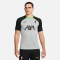 NIKE FC Liverpool Strike Dri-FIT Knit Fu&szlig;ballshirt Herren 013 - wolf grey/poison green/black S