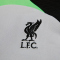 NIKE FC Liverpool Strike Dri-FIT Knit Fu&szlig;ballshirt Herren 013 - wolf grey/poison green/black S
