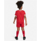 NIKE FC Liverpool Dri-FIT 3-teiliges Minikit Heim 2023/24 Kinder 688 - gym red/white XS (98-104 cm)