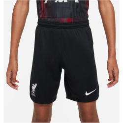 NIKE FC Liverpool Stadium Auswärts Dri-FIT...
