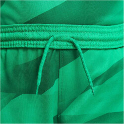 NIKE FC Barcelona Stadium Torwart Dri-FIT Fußballshorts 2022/23 Kinder 324 - stadium green/malachite/white XS (122-128 cm)