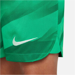 NIKE FC Barcelona Stadium Torwart Dri-FIT Fußballshorts 2022/23 Kinder 324 - stadium green/malachite/white XS (122-128 cm)