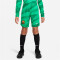 NIKE FC Barcelona Stadium Torwart Dri-FIT Fußballshorts 2022/23 Kinder 324 - stadium green/malachite/white XS (122-128 cm)