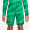 NIKE FC Barcelona Stadium Torwart Dri-FIT Fußballshorts 2022/23 Kinder 324 - stadium green/malachite/white XS (122-128 cm)