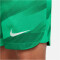 NIKE FC Barcelona Stadium Torwart Dri-FIT Fußballshorts 2022/23 Kinder 324 - stadium green/malachite/white XS (122-128 cm)