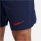 NIKE Paris Saint-Germain Stadium Heim/Ausw&auml;rts Dri-FIT Fu&szlig;ballshorts 2023/24 Herren 410 - midnight navy/university red S