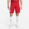 NIKE FC Liverpool Stadium Heim Dri-FIT Fu&szlig;ballshorts 2023/24 Herren 687 - gym red/white XS