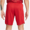 NIKE FC Liverpool Stadium Heim Dri-FIT Fu&szlig;ballshorts 2023/24 Herren 687 - gym red/white XS