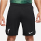 NIKE FC Liverpool Stadium Ausw&auml;rts Dri-FIT Fu&szlig;ballshorts 2023/24 Herren 010 - black/white XS
