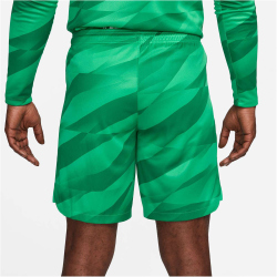 NIKE FC Barcelona Stadium Torwart Dri-FIT...