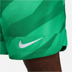 NIKE FC Barcelona Stadium Torwart Dri-FIT Fu&szlig;ballshorts 2023/24 Herren 324 - stadium green/malachite/white 3XL