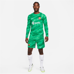 NIKE FC Barcelona Stadium Torwart Dri-FIT Fu&szlig;ballshorts 2023/24 Herren 324 - stadium green/malachite/white 3XL